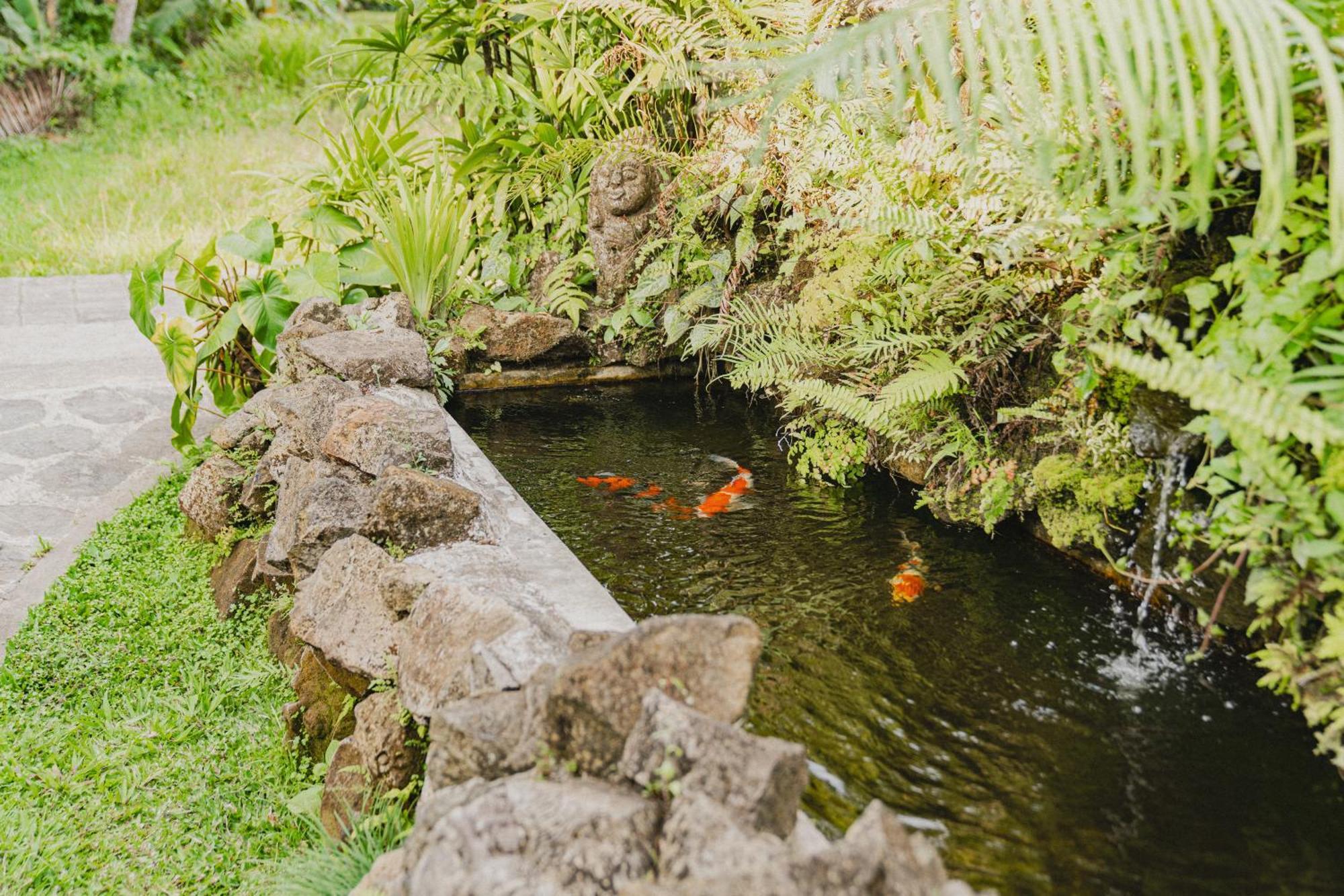 Sweet Orange Pondok Ubud Exteriör bild